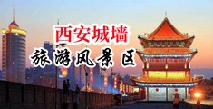 欧美大鸡巴插入大骚逼视频中国陕西-西安城墙旅游风景区